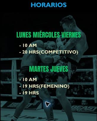 Afiche de Kickboxing publicado por Weichan en WhatsApp Business