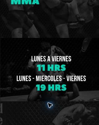 Afiche de MMA del catálogo de Weichan